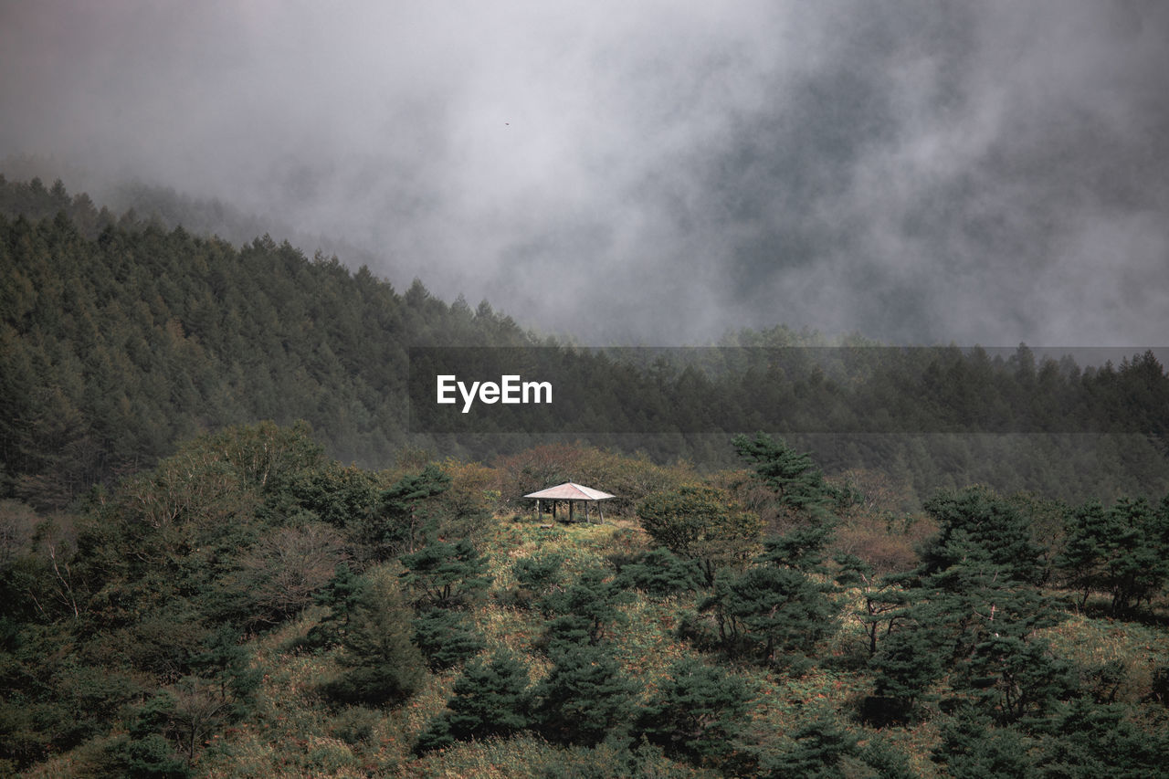 scenic view of landscape