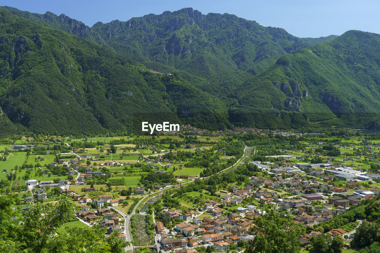 HIGH ANGLE VIEW OF TREES AND PLANTS ON LANDSCAPE