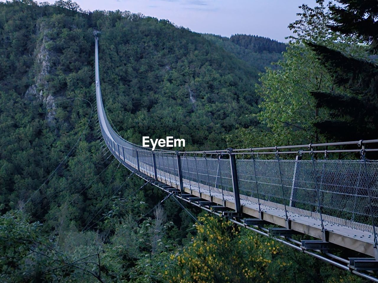 High angle view of bridge against trees