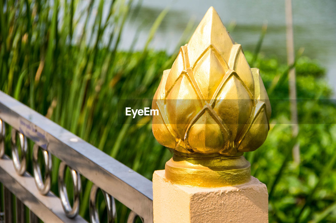 CLOSE-UP OF YELLOW FLOWERS ON RAILING AGAINST BLURRED BACKGROUND