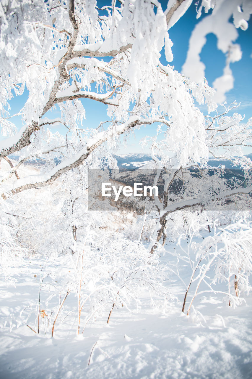 full frame shot of frozen lake