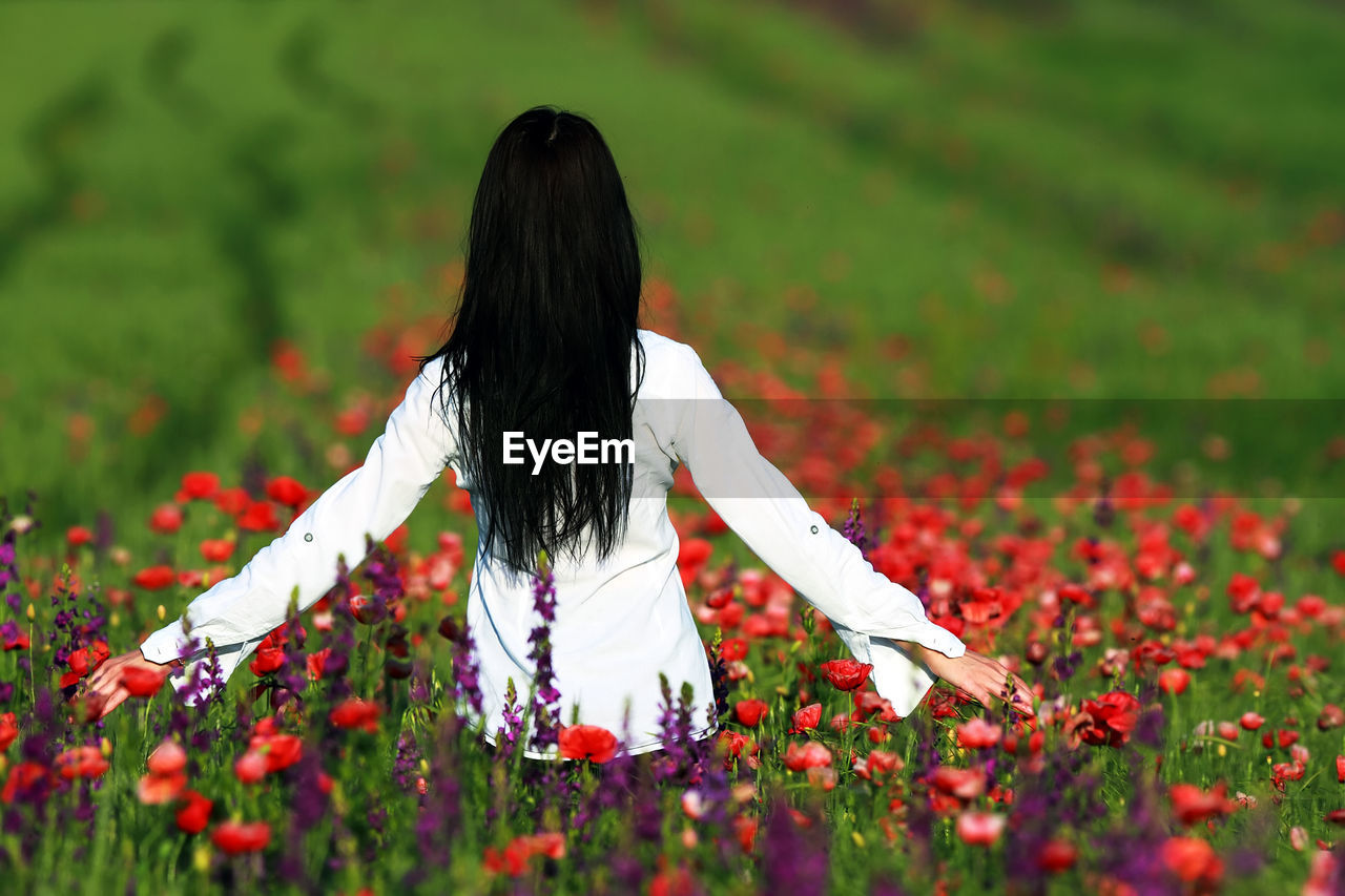 Rear view of woman with arms outstretched standing amidst poppy flowers