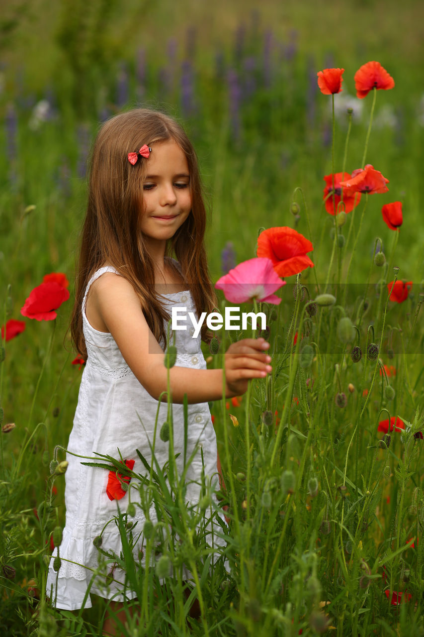 Portrait of a cute 6 year old girl wearing a white summer cotton dress, posing in the poppy field