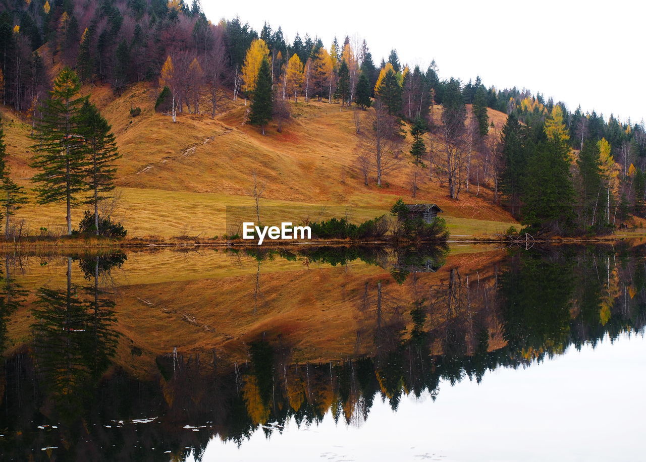 REFLECTION OF TREES IN LAKE DURING AUTUMN