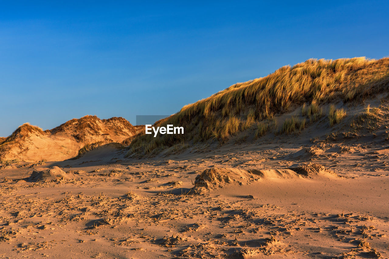 Sand dunes on the north sea in germany.