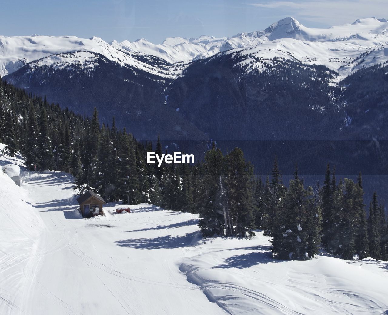 Scenic view of snow covered field