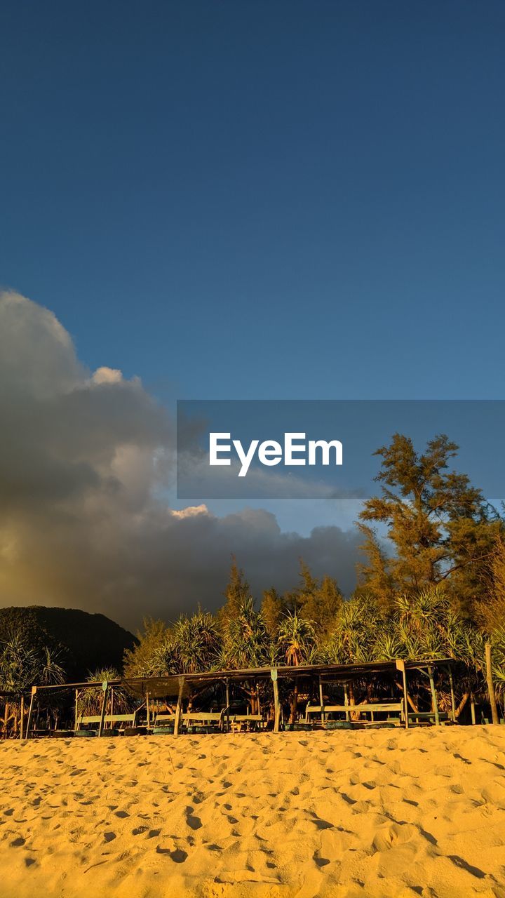 SCENIC VIEW OF TREES ON FIELD AGAINST SKY