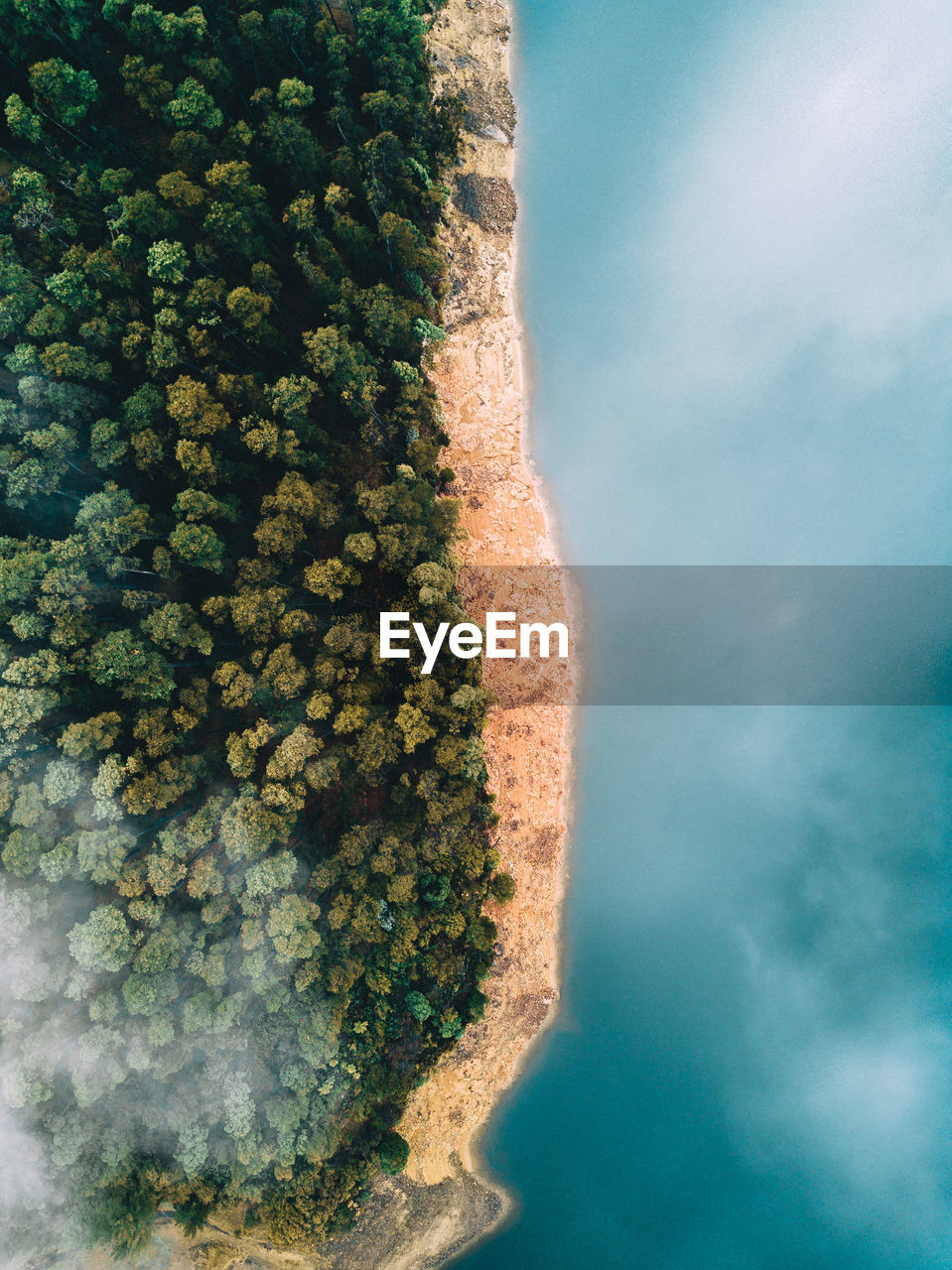 High angle view of lake by trees