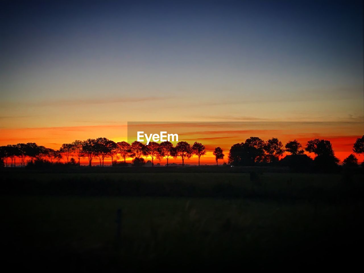 SILHOUETTE TREES ON FIELD DURING SUNSET