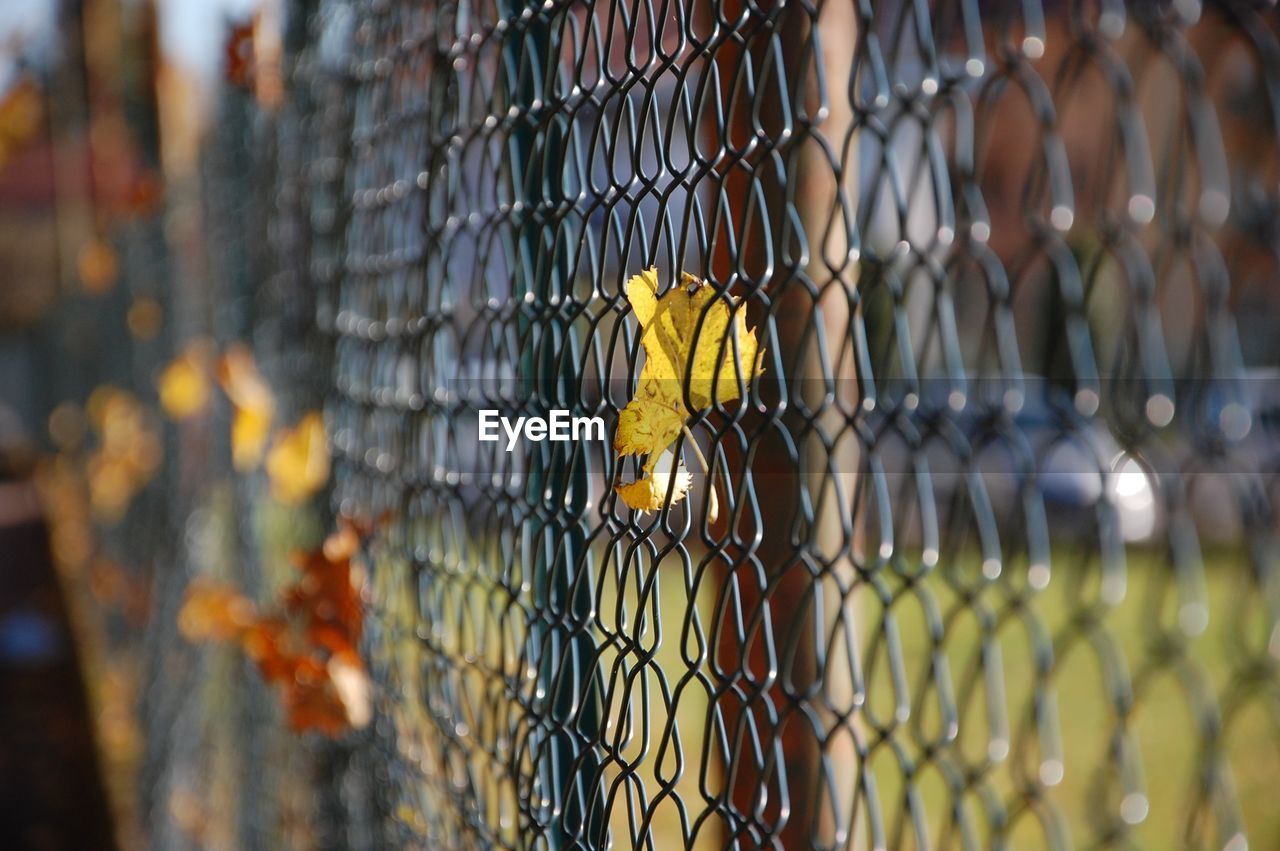 CLOSE-UP OF CHAINLINK FENCE WITH YELLOW WIRE ON METAL GRATE