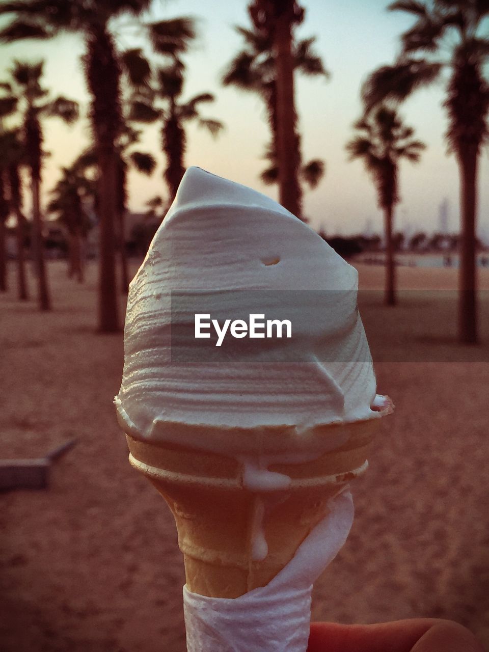 Cropped image of person holding ice cream cone against trees on beach