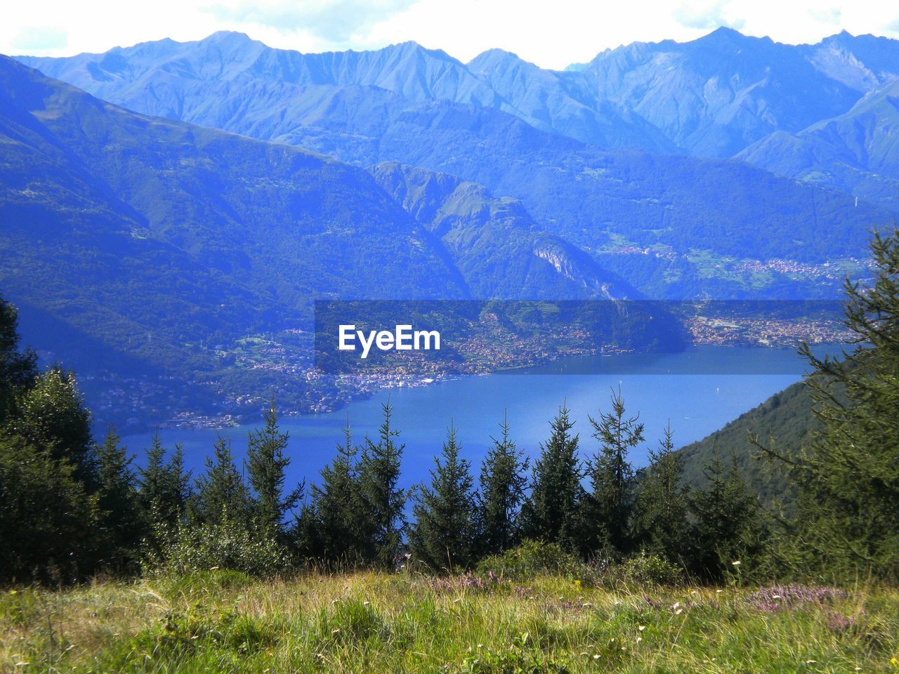 View of trees against rocky mountain range