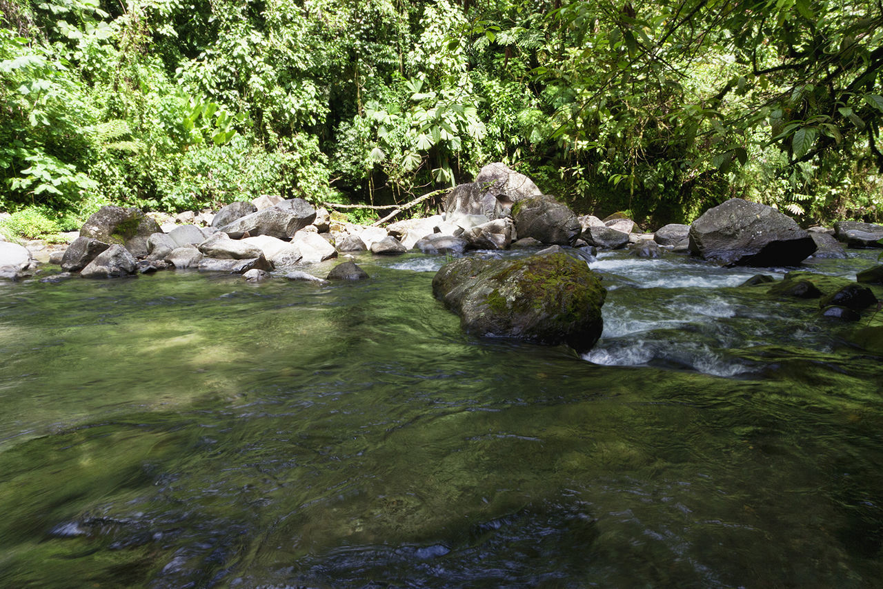 SCENIC VIEW OF ROCKS