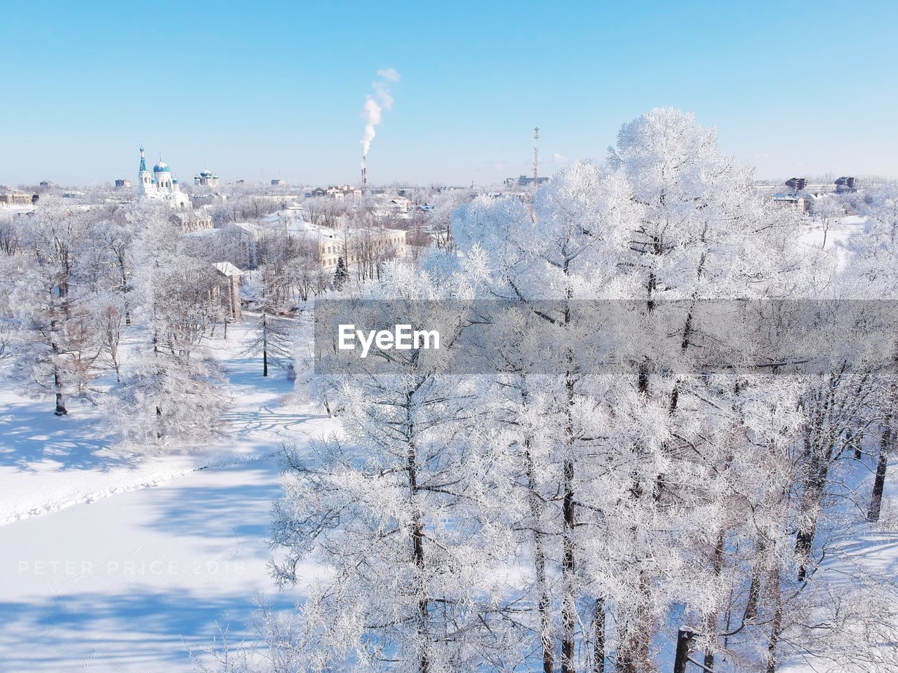 Snow covered trees on field against sky