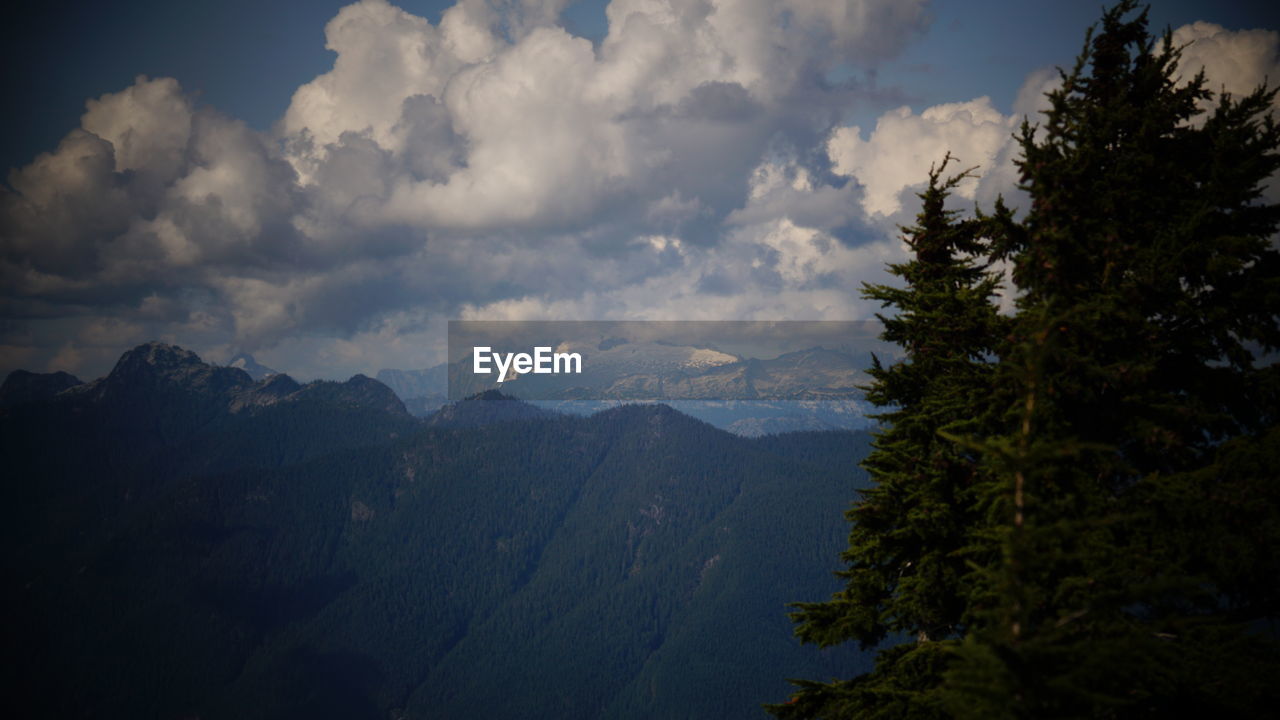 PANORAMIC VIEW OF LANDSCAPE AGAINST SKY