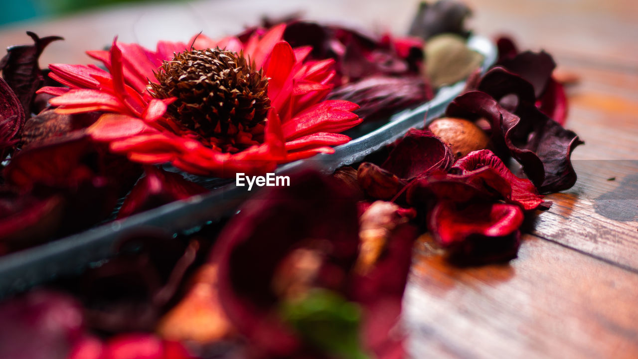 Close-up of red rose on table