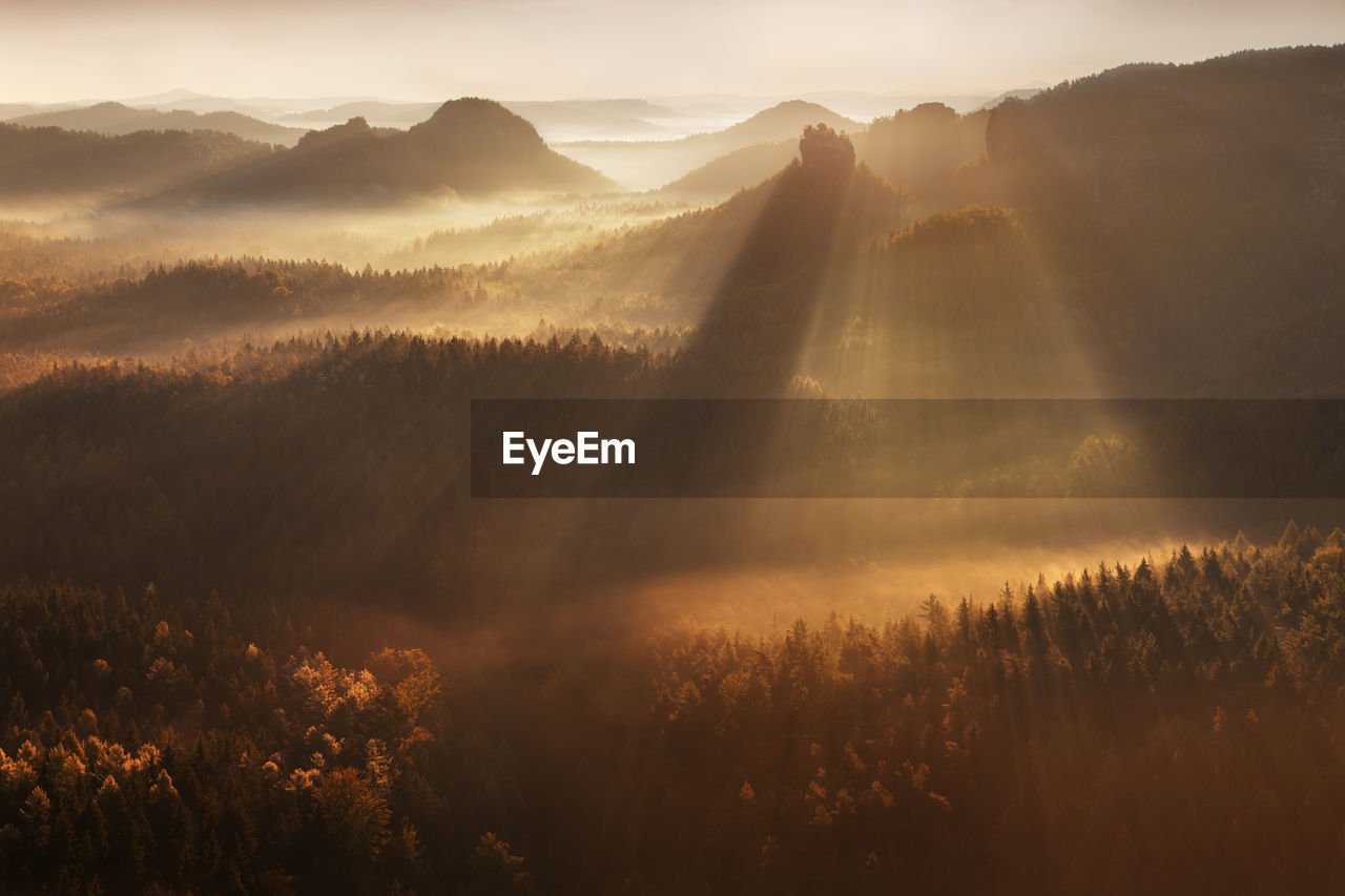 SUNLIGHT STREAMING THROUGH TREES ON LANDSCAPE AGAINST SKY