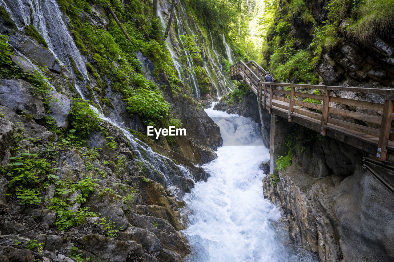 WATERFALL IN FOREST