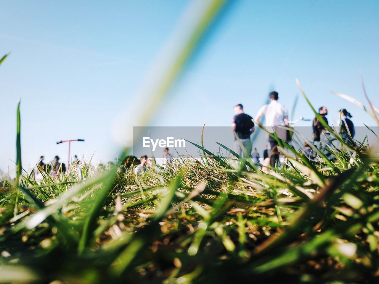 Low angle view of people standing on grassy land against clear sky