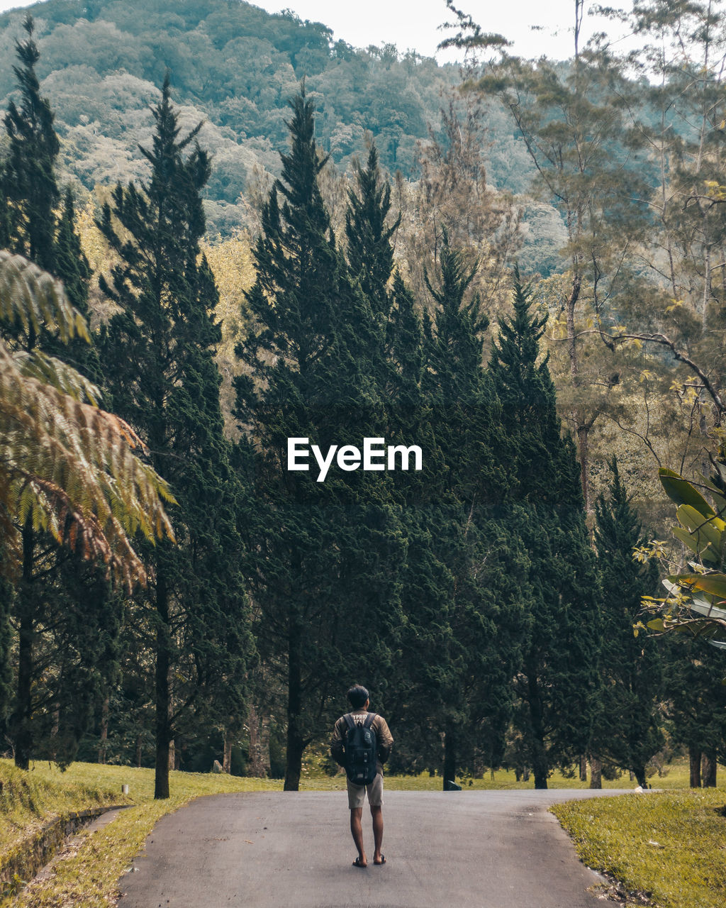 Rear view of woman walking on road in forest