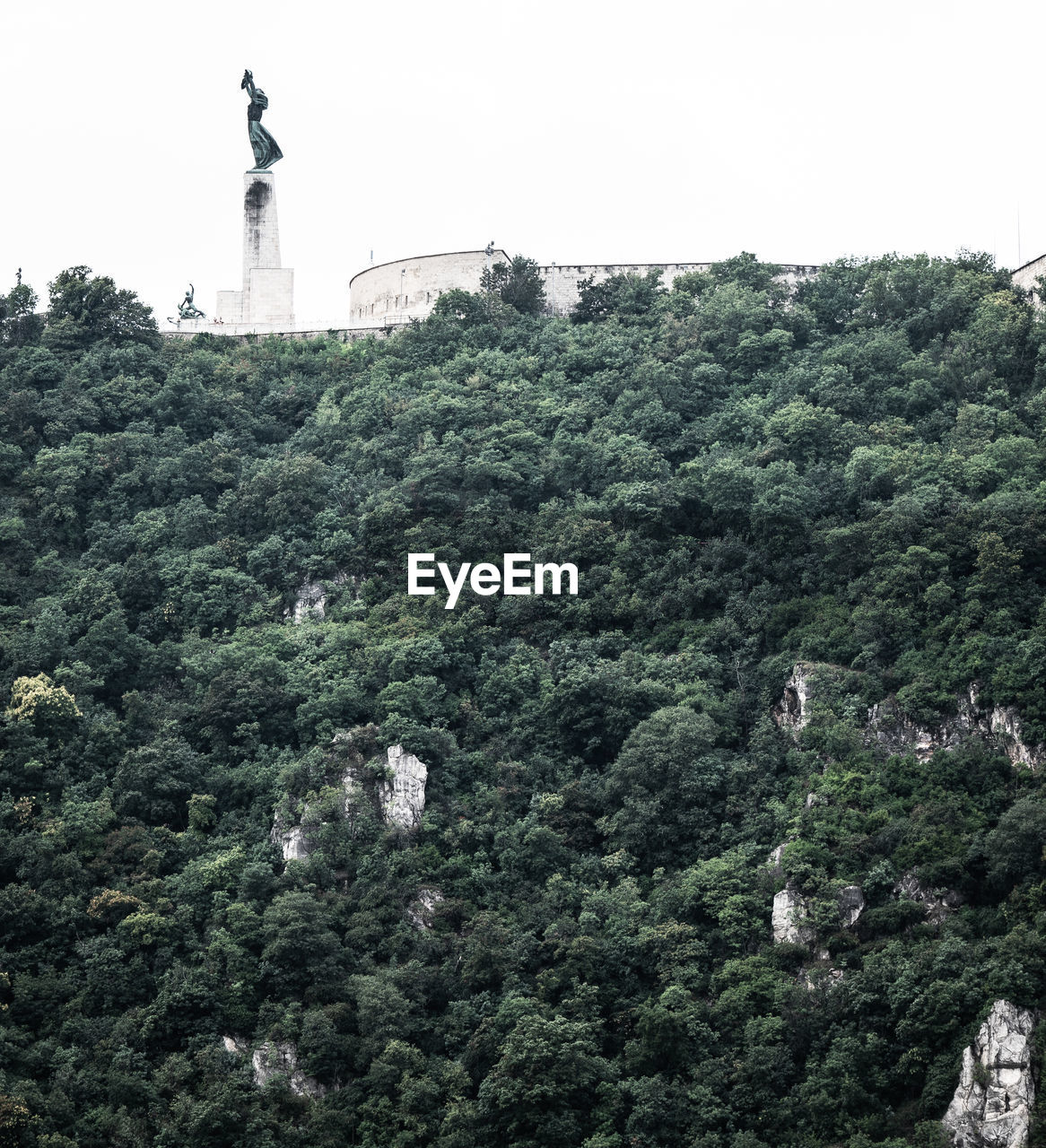 VIEW OF STATUE AGAINST TREES AND PLANTS