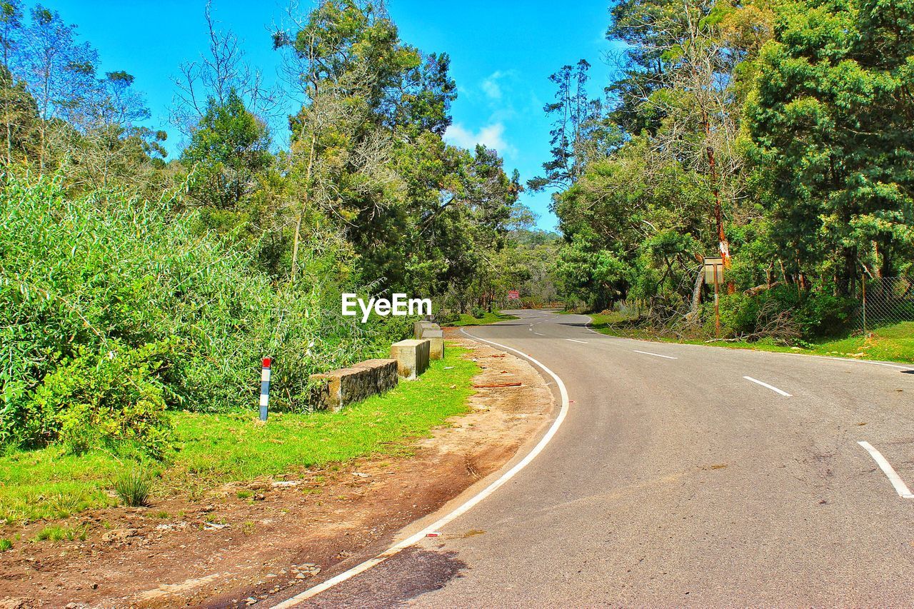 ROAD BY TREES AGAINST SKY