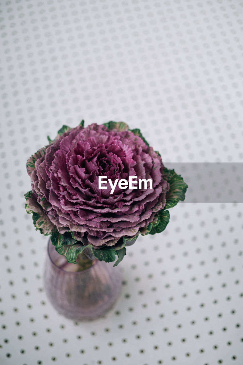 DIRECTLY ABOVE SHOT OF PINK ROSE ON TABLE