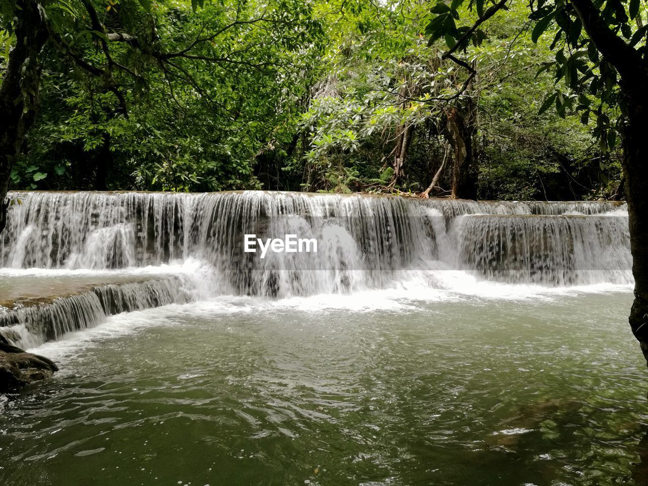 WATERFALL IN FOREST