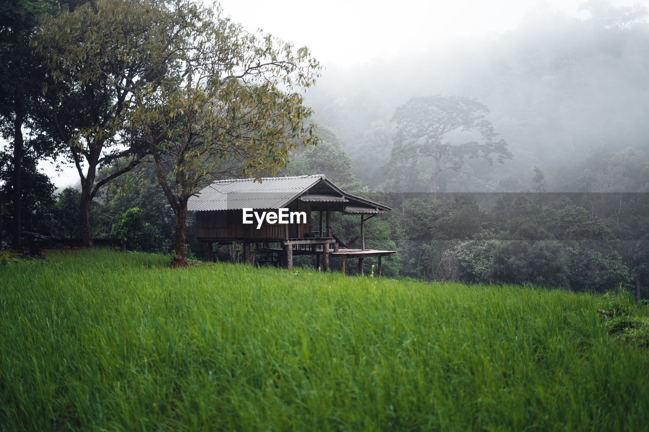 house on field against trees