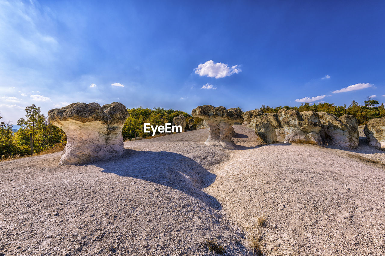 The stone mushrooms is a rock phenomenon