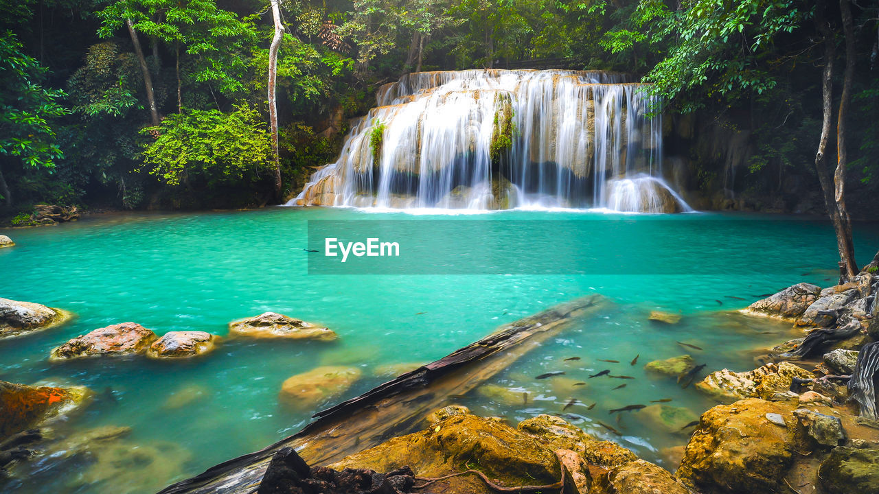 PANORAMIC SHOT OF WATERFALL IN FOREST