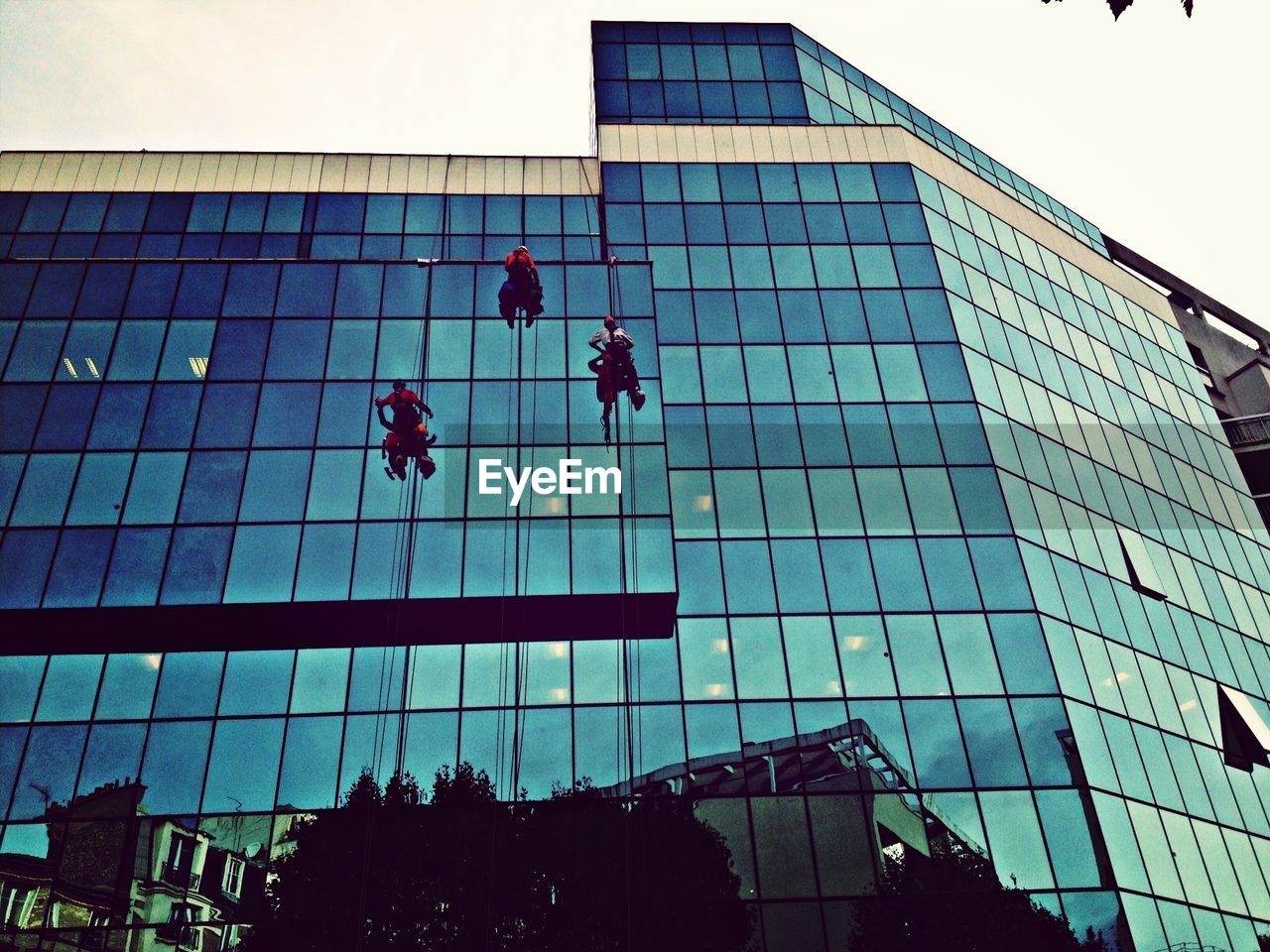 Low angle view of people climbing on glass building