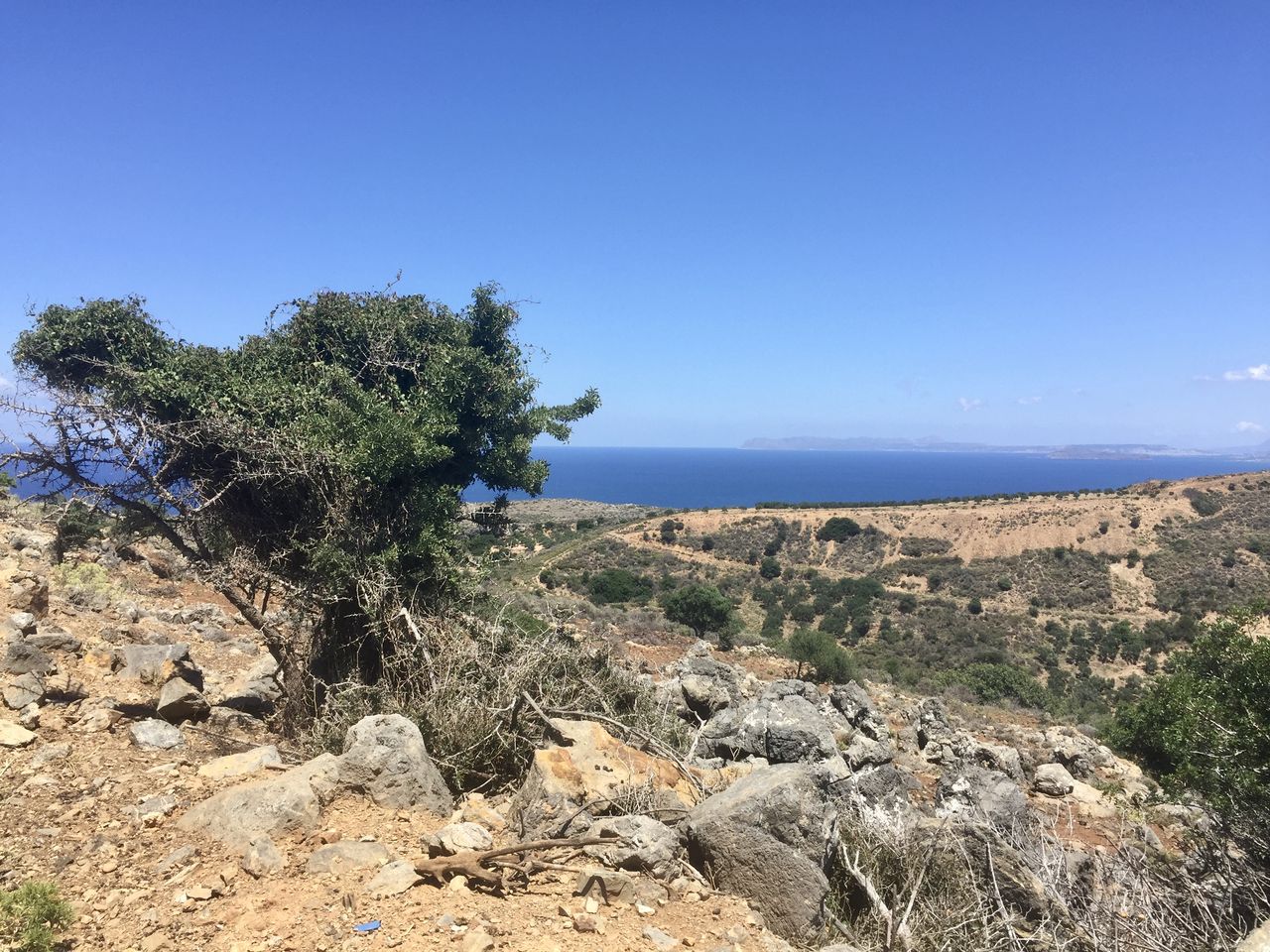 Scenic view of landscape against blue sky