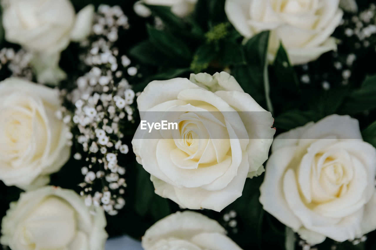 High angle view of rose bouquet
