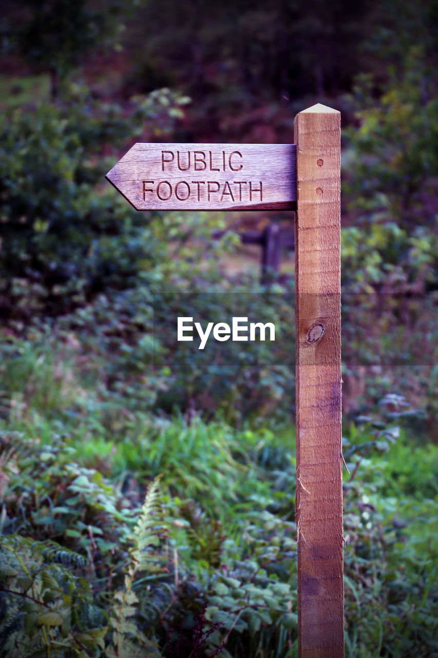 CLOSE-UP OF SIGNBOARD BY TREE