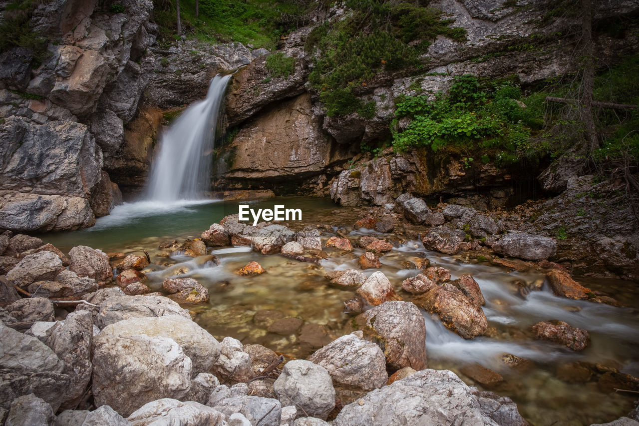 Scenic view of waterfall in forest