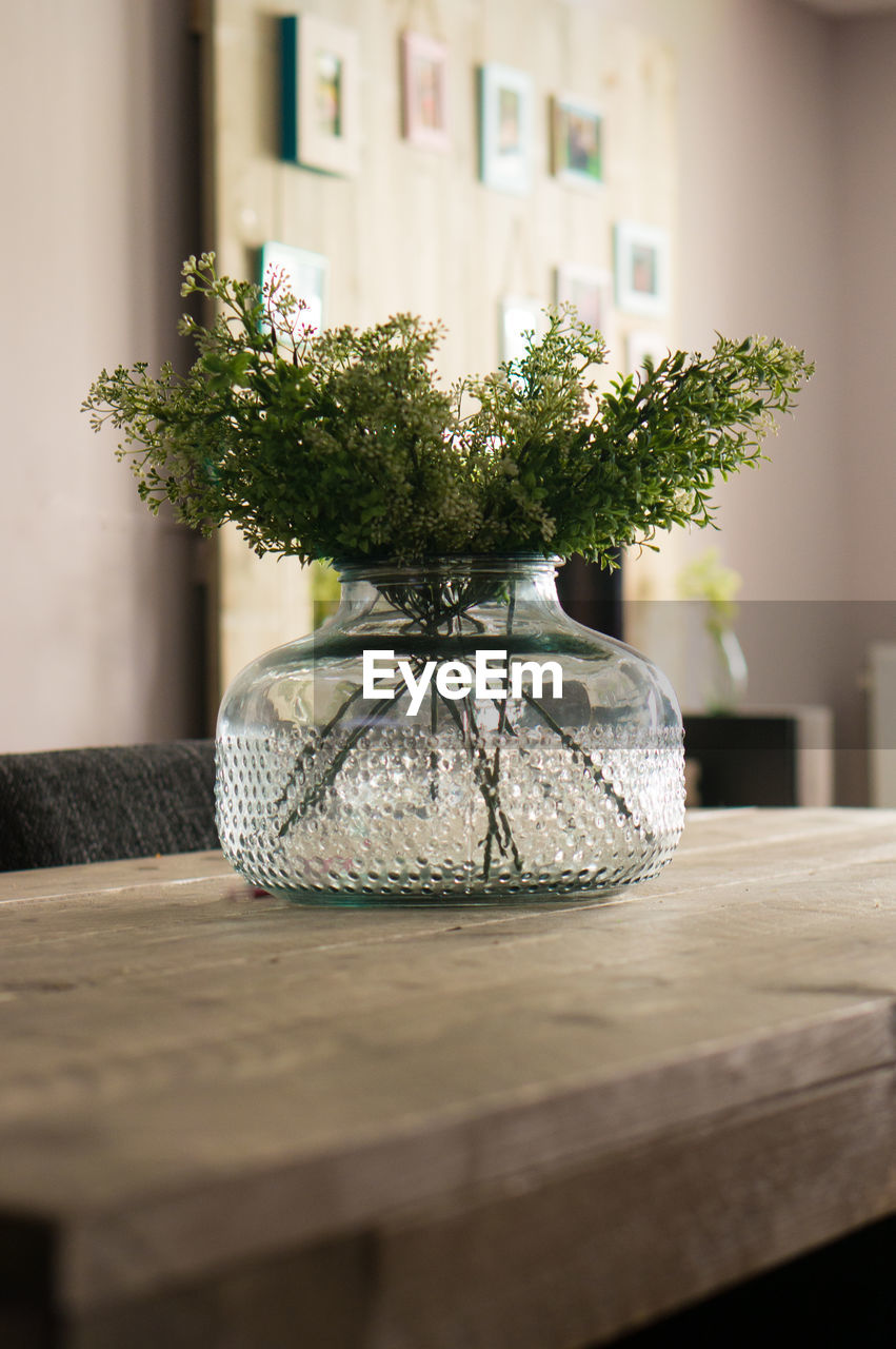 Plant in vase on wooden table at home