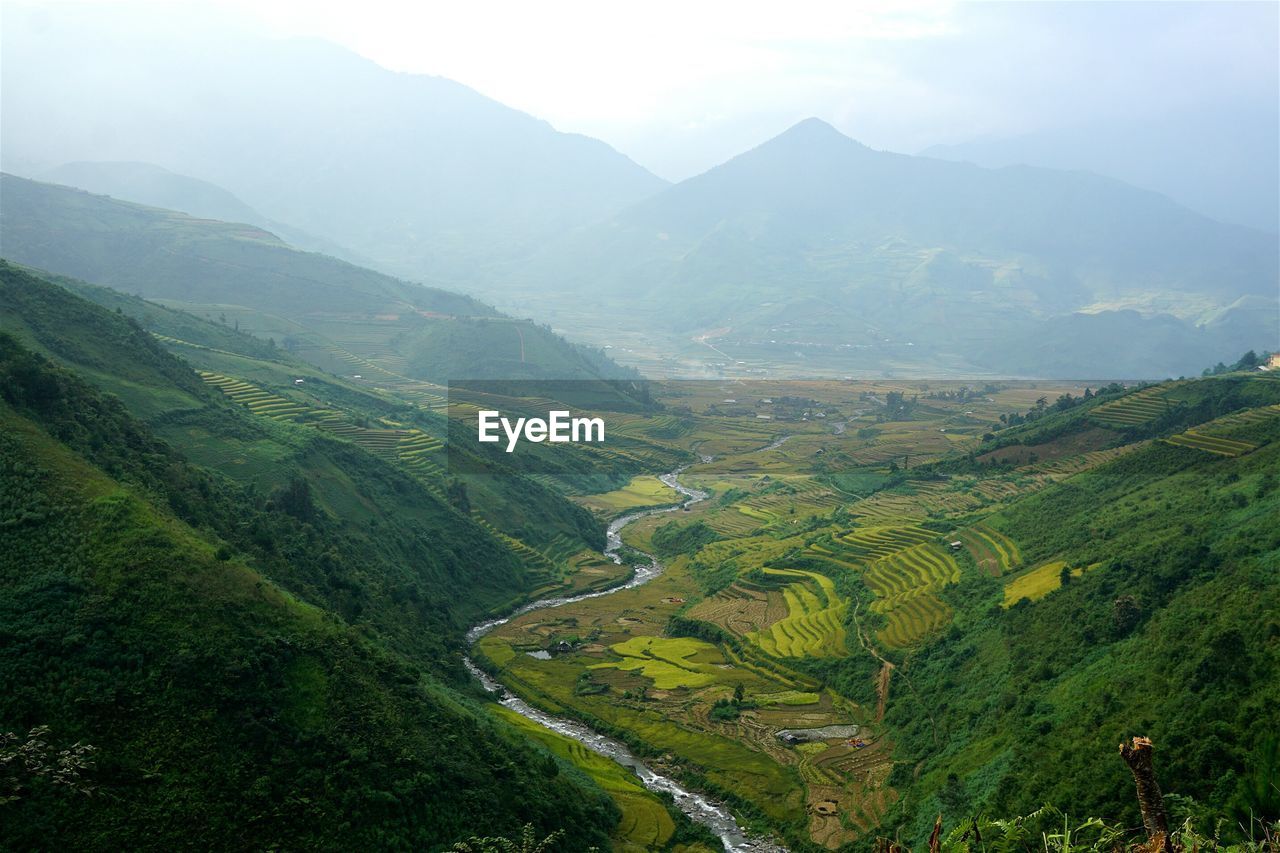 Scenic view of green mountains and stream during foggy weather