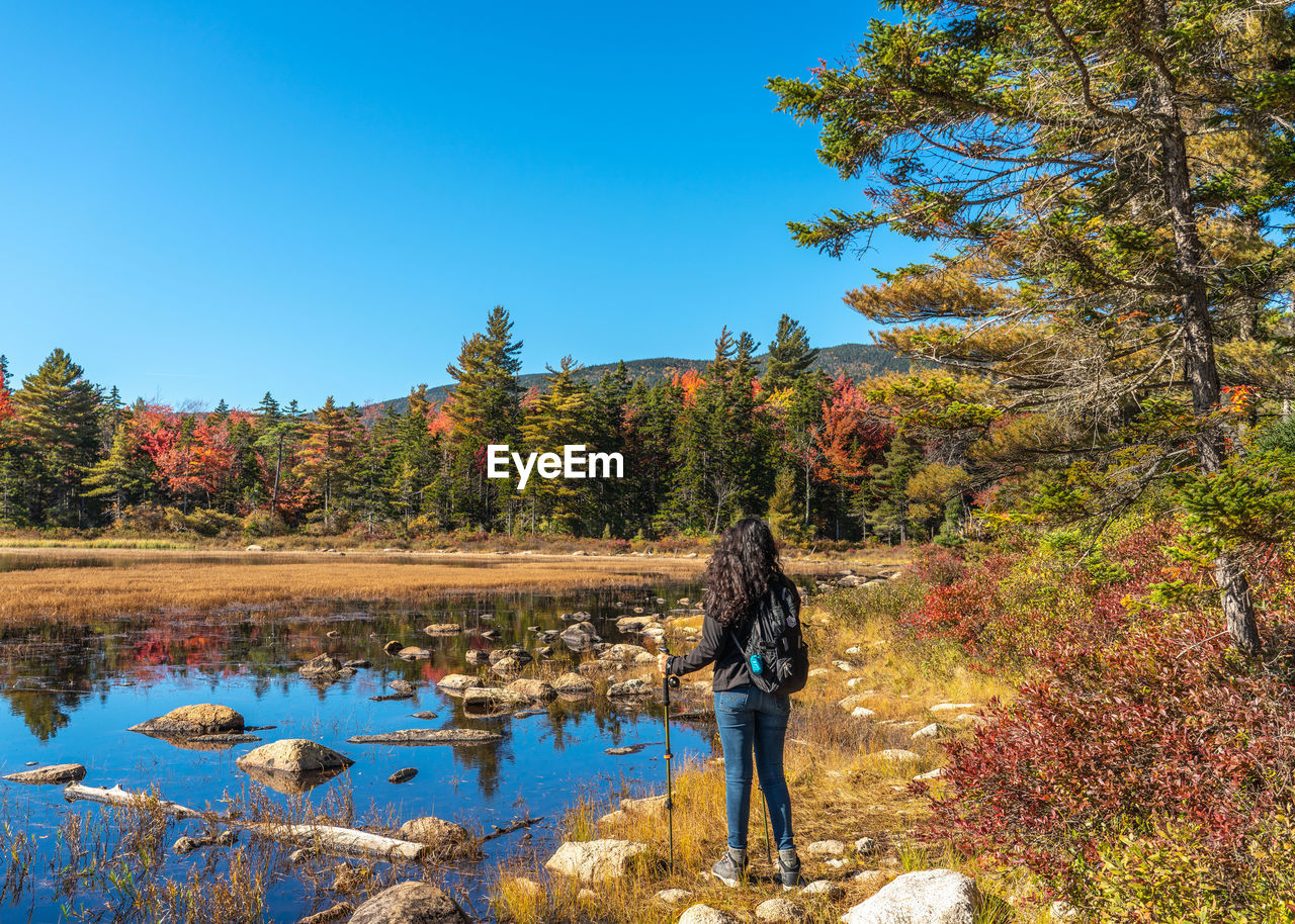 Scenic view of the lake against clear blue sky
