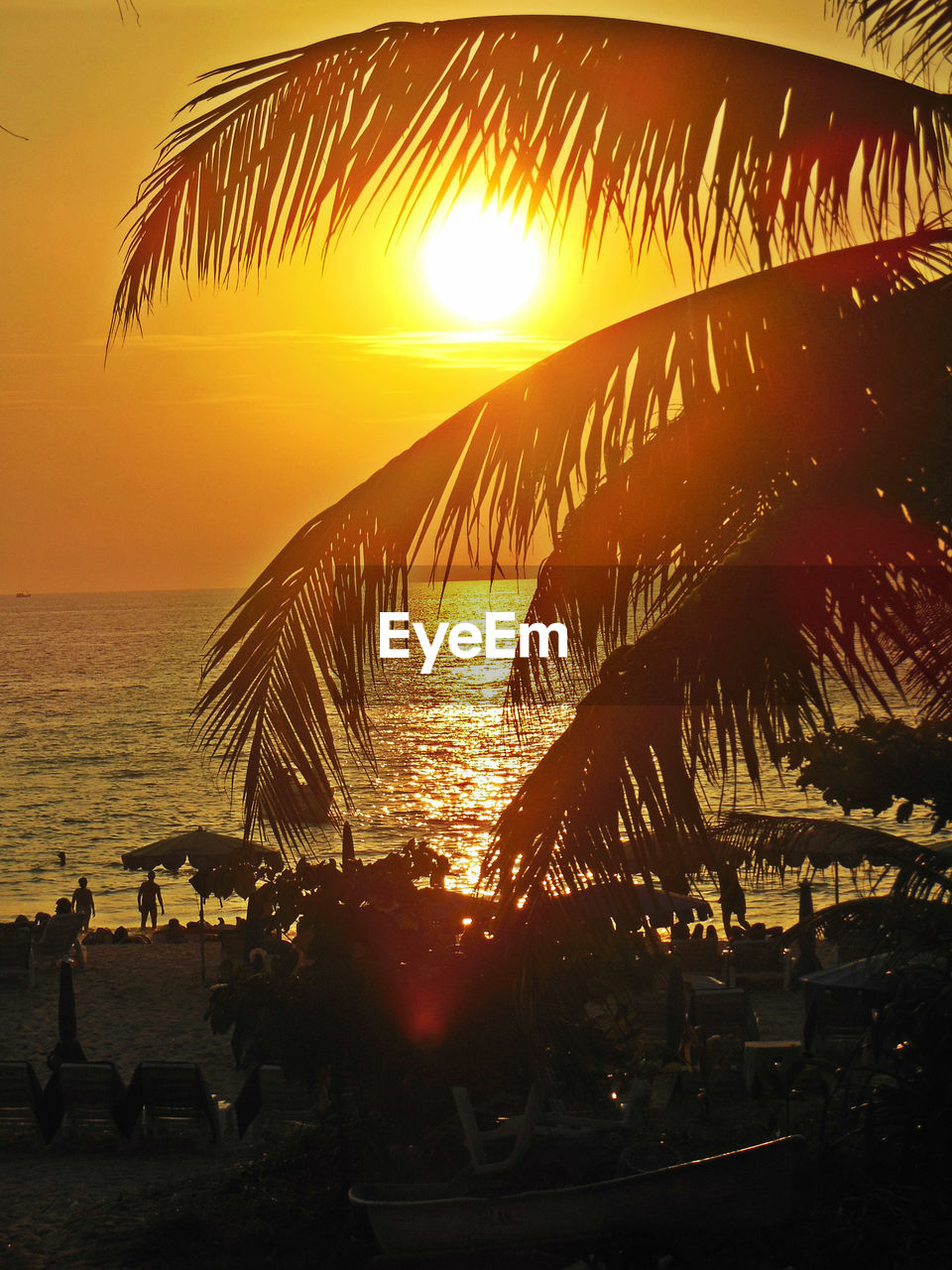 SILHOUETTE PALM TREES ON BEACH AGAINST ORANGE SKY