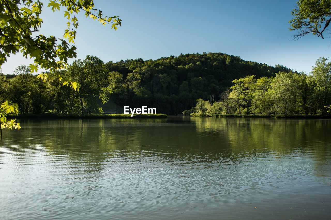 SCENIC VIEW OF LAKE AGAINST TREES