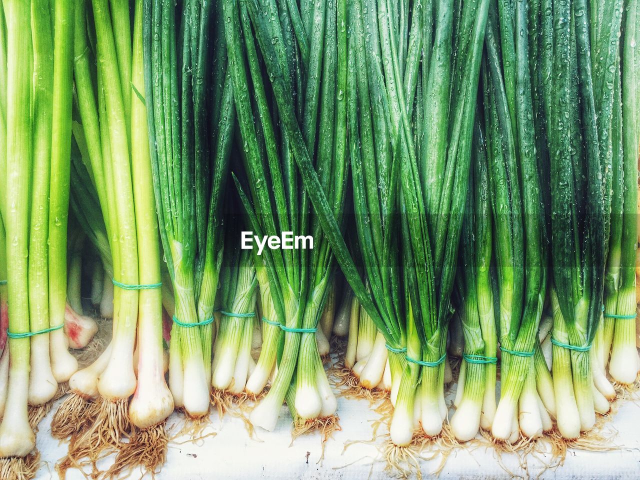 High angle view of wet scallions for sale at market