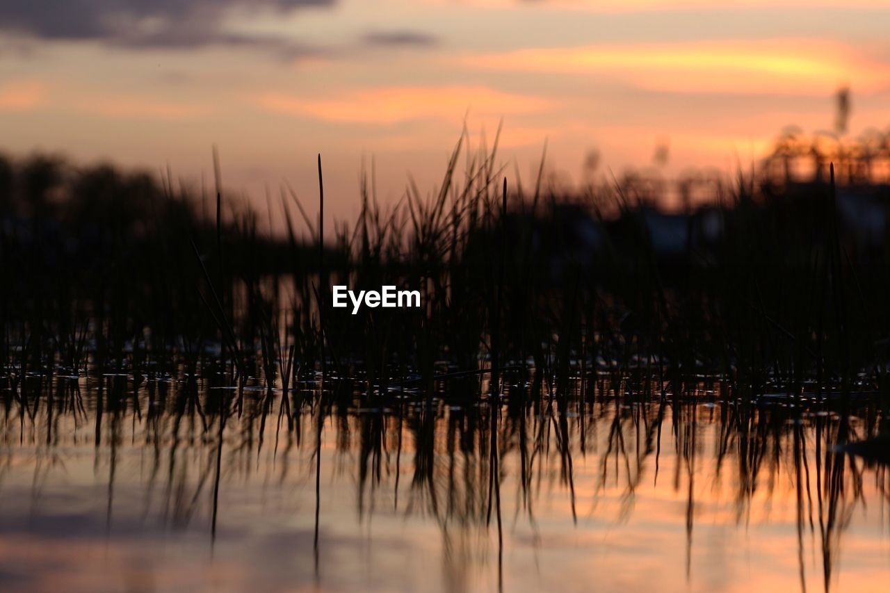 Scenic view of lake at sunset