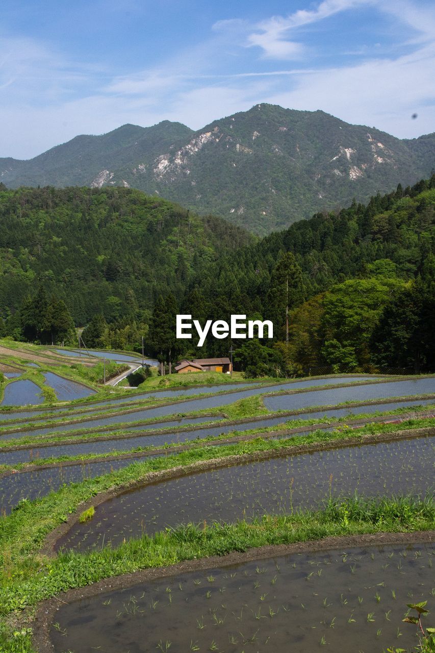 Landscape with mountain range in background