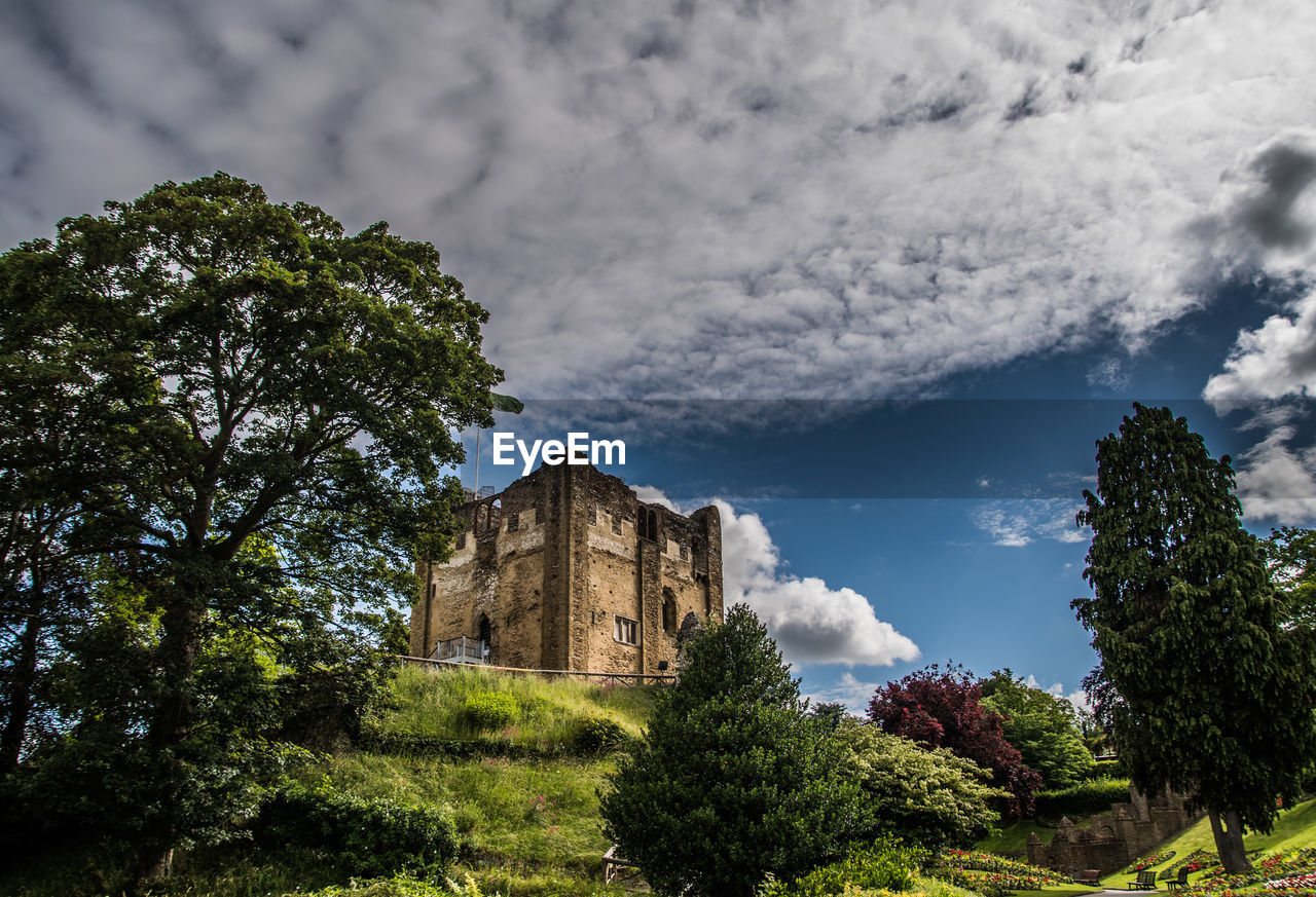 Low angle view of trees and building against sky