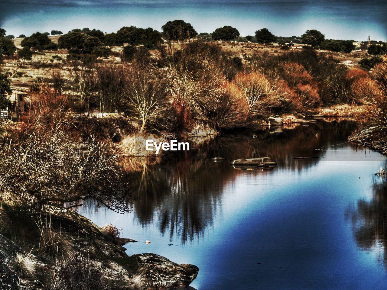 REFLECTION OF TREES ON LAKE