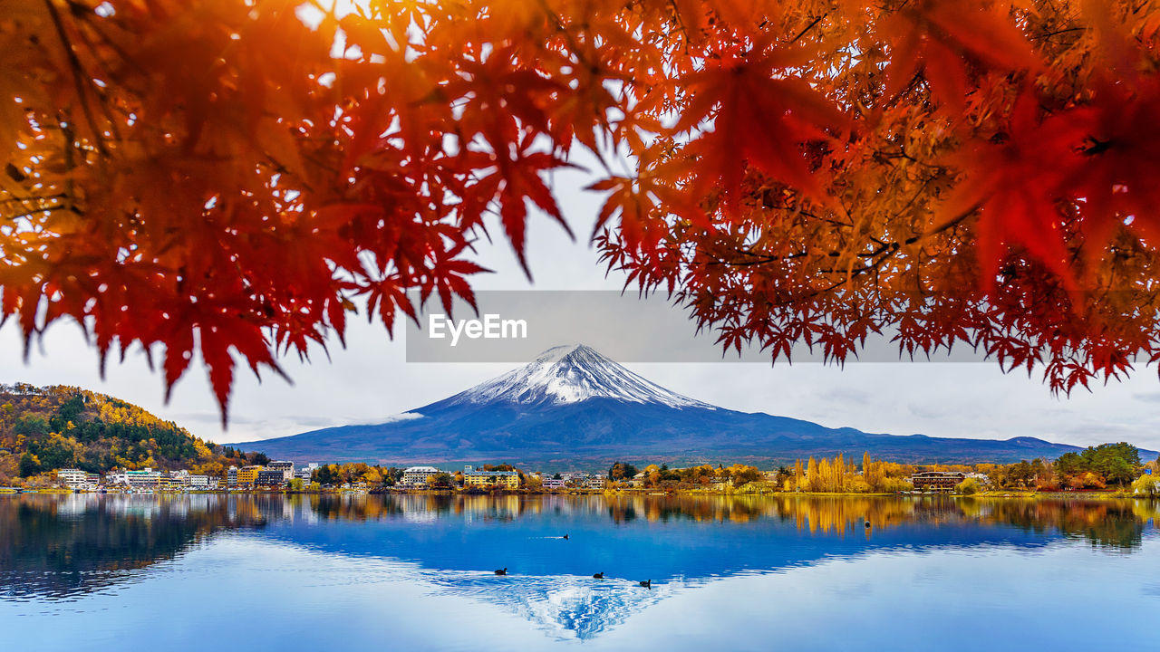 Scenic view of lake by trees against mountain during autumn