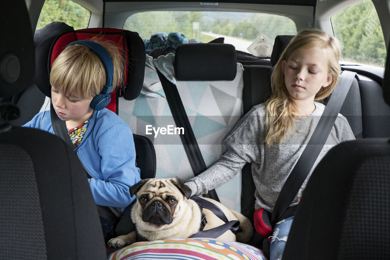 Children with dog in car