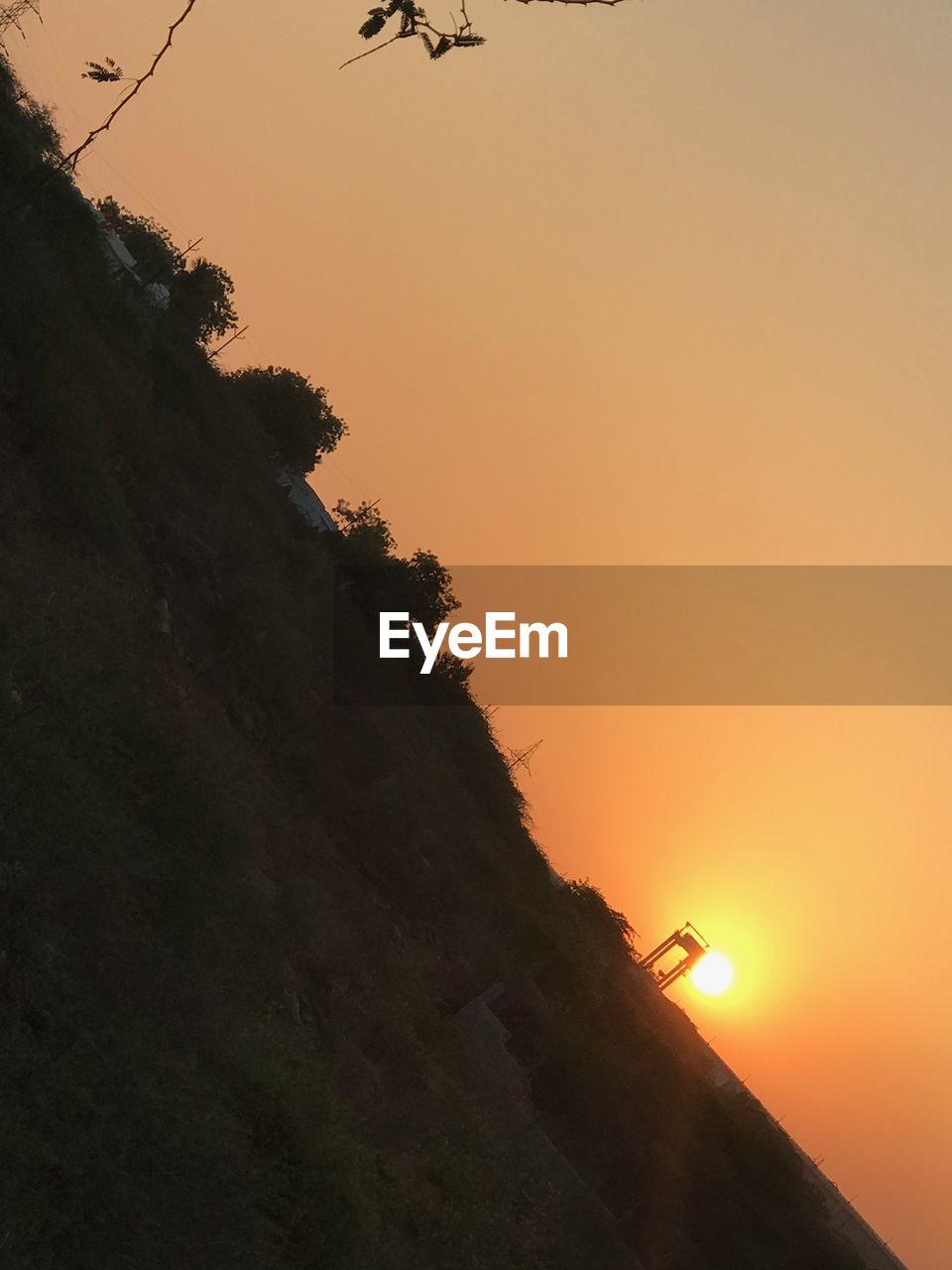 SILHOUETTE OF TREE AT SUNSET