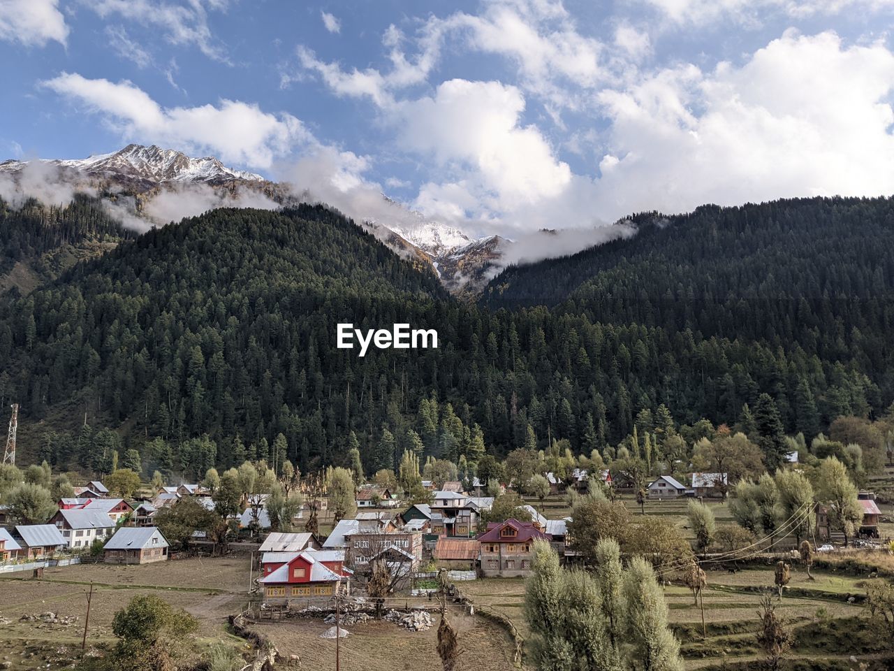 SCENIC VIEW OF HOUSES AND TREES AGAINST SKY